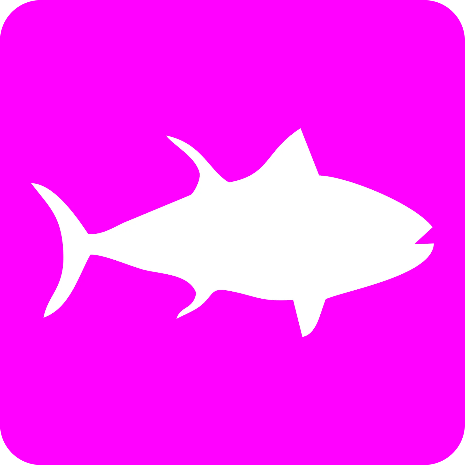 Pokemoto logo
